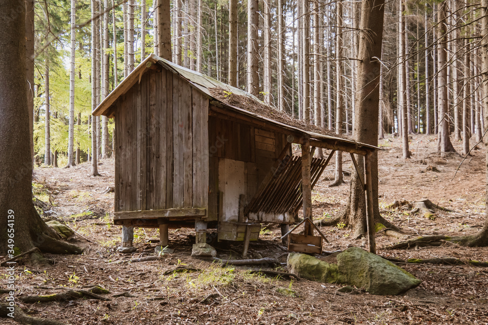The small abandoned wooden house, located on the edge of a forest. The house is damaged. Czech Republic The small abandoned wooden house, located on the edge of a forest. The house is damaged. Czech Republic