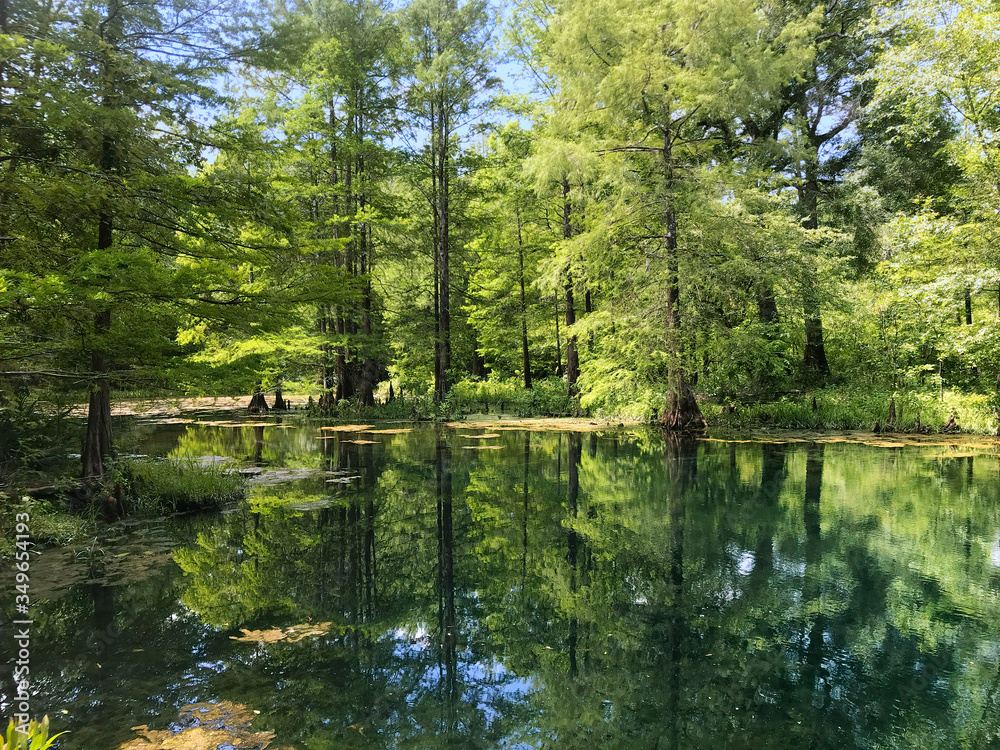 Wes Skiles Peacock Springs State Park, Florida - View of Peacock II Spring Wes Skiles Peacock Springs State Park, Florida - View of Peacock II Spring