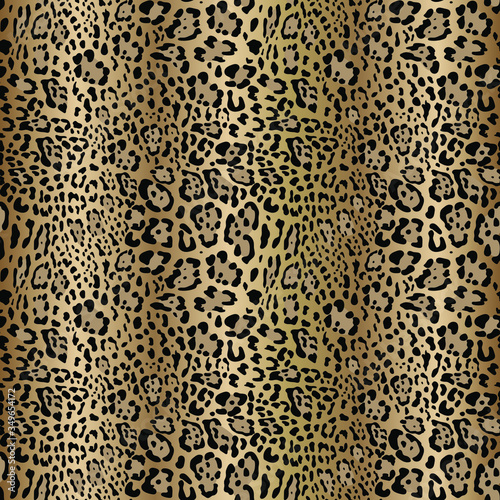 Leopard pattern design, vector illustration background