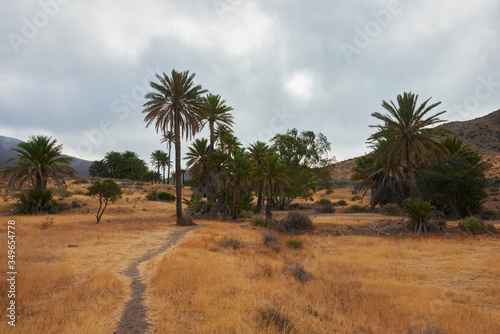 Almeria desert