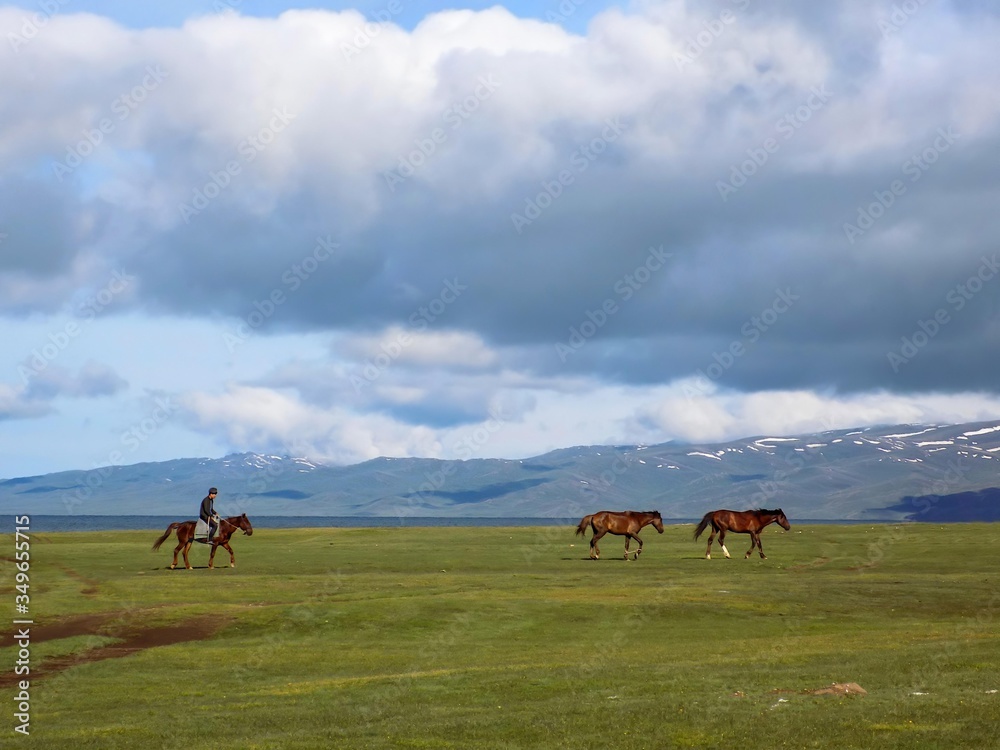 Obraz premium The horses and their nomadic shepherd on the high plateau of Son Kul, central Kyrgyzstan