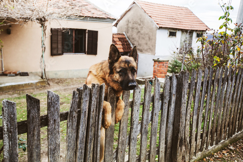 Watchdog guard private rural property