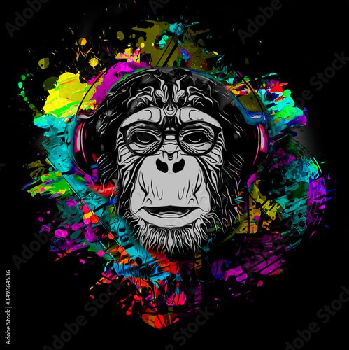Colorful artistic monkey in...