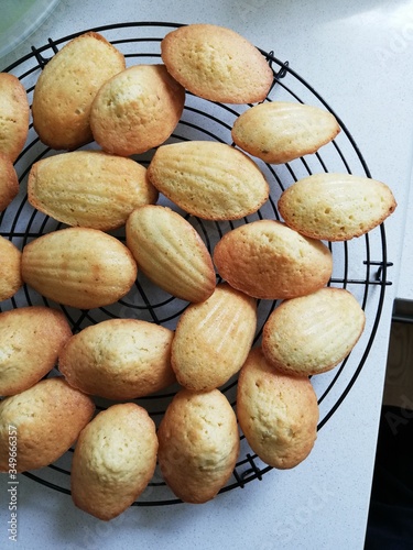 Madeleines, französische Schmelzbrötchen, hausgemacht  photo