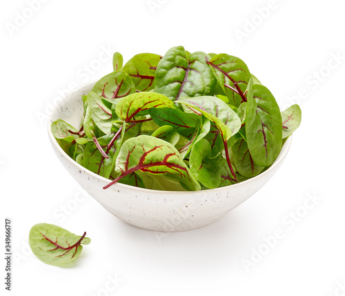 Bilde på lerret Fresh sorrel leaves in white bowl