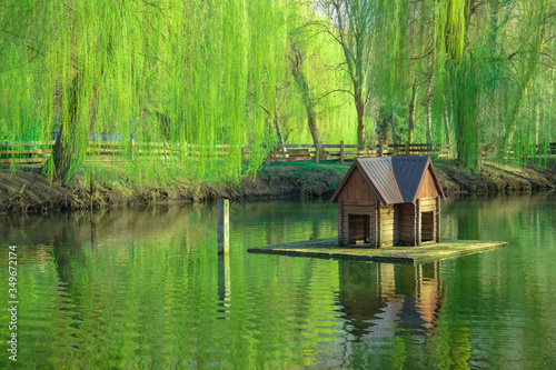 summer day park calmness nature scenic environment wooden cabin for birds on lake water surface landscaping object made by human hands