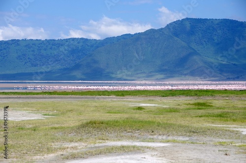 Landscape in the Ngorongoro crater in Tanzania
