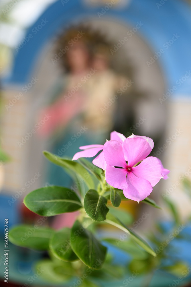 Naklejka premium Flores en el altar
