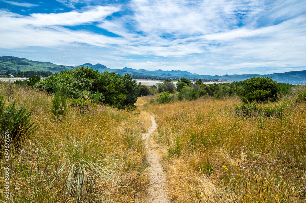 Path to the bay in Gearhart, Oregon Path to the bay in Gearhart, Oregon