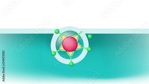 Receptor-mediated endocytosis. cells absorb metabolites, hormones, proteins and viruses by receptors on the surface of the cell photo