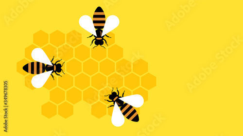 Honey bees and honeycombs. The vector illustration for banner or card.