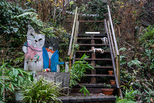 Neko-no-Hosomichi Cat Alley in Onomichi City. Lots of real and ornamental cats (fukuishi-neko), quaint cafes and galleries on this narrow street. Hiroshima Prefecture, Japan photo
