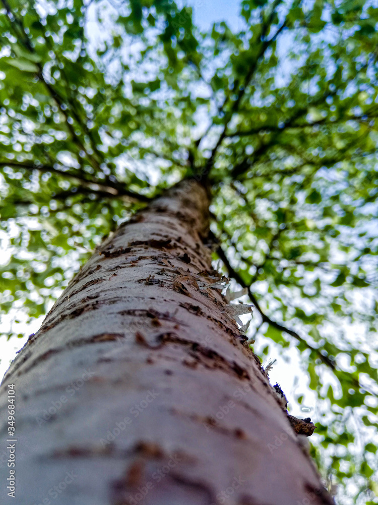 Fototapeta premium hdr