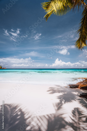 Beautiful sunny tropical sandy beach. Palm trees, blue sky and white clouds. Holiday vacation concept