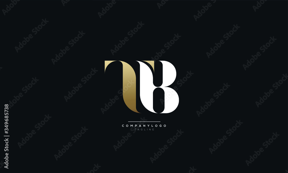 TB BT T B Letter Logo Alphabet Design Icon Vector Symbol