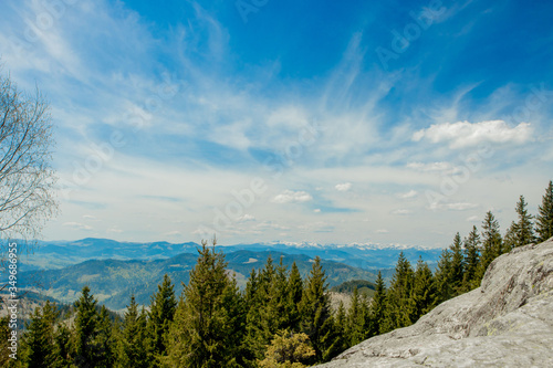 Magnificent panoramic view the coniferous forest on the mighty Carpathians Mountains and beautiful blue sky background. Beauty of wild virgin Ukrainian nature. Peacefulness. 