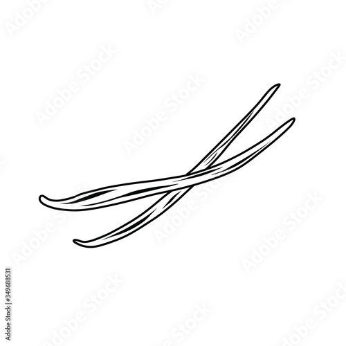 vanilla sticks doodle icon, vector illustration