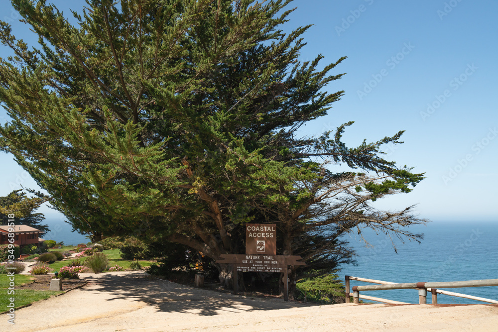 Coastal access.  Ragged Point, Big Sur, California Coastline