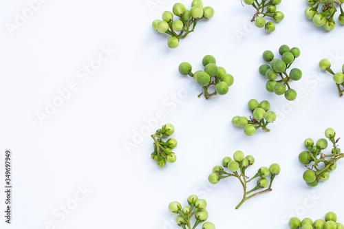 Turkey berry isolated on white