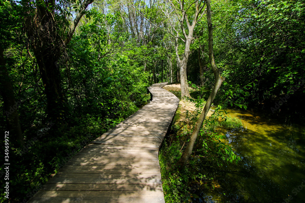 Wooden path built over the streaming waters of Krka National Park in Croatia - Hike through the forest along the flowing river among the waterfalls Wooden path built over the streaming waters of Krka National Park in Croatia - Hike through the forest along the flowing river among the waterfalls