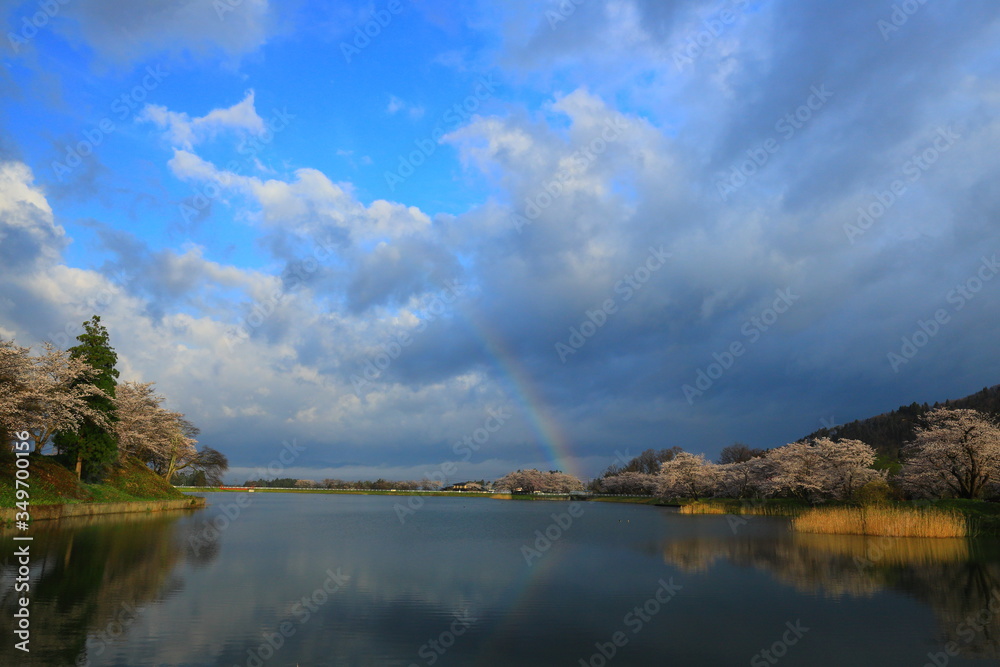 Fototapeta premium 春の三郎堤