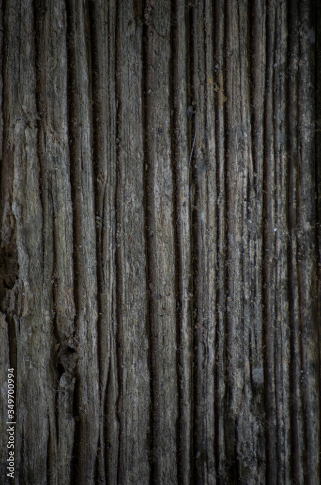 Old wood texture Old wood texture