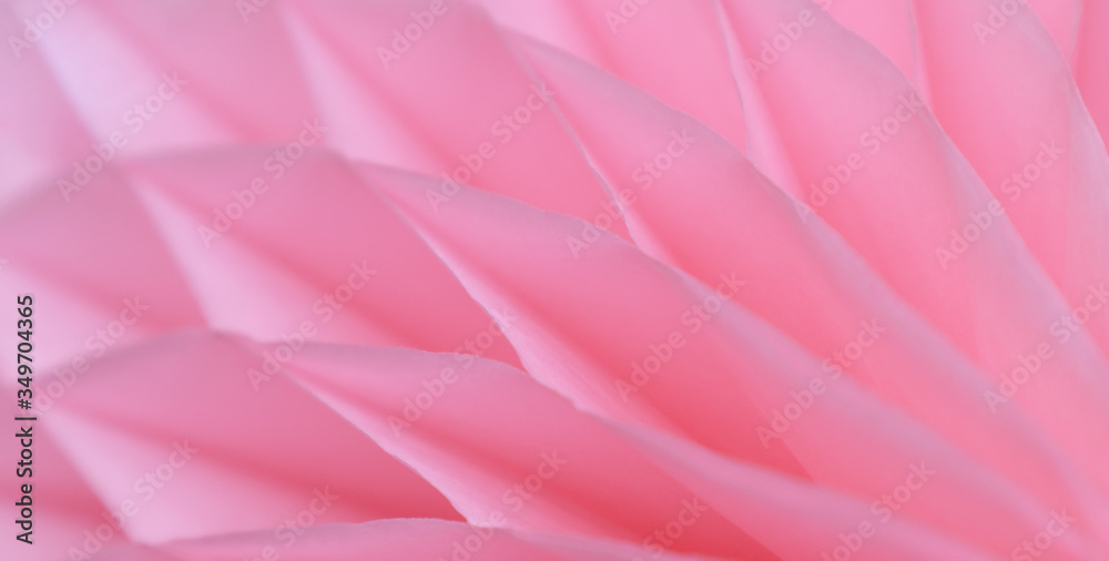 Pink abstract background with bizarre pattern. Soft lines transition light and dark shadows. Photos with soft focus.