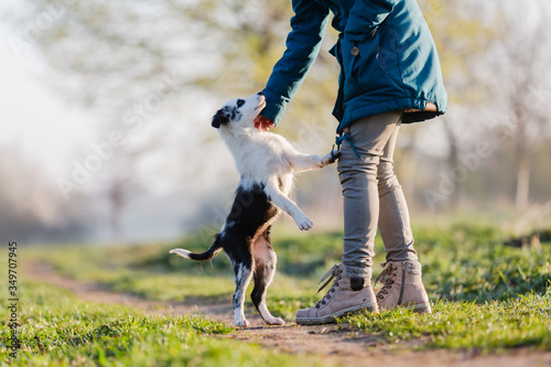 woman playing with a cute puppy outdoors