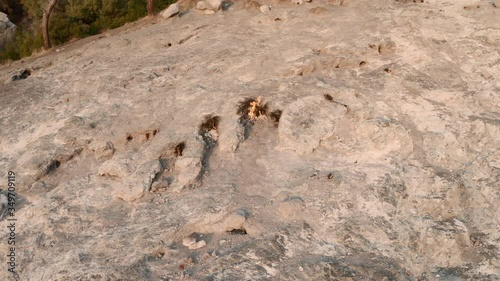 Chimera Lights - According to the legend of a mysterious creature 