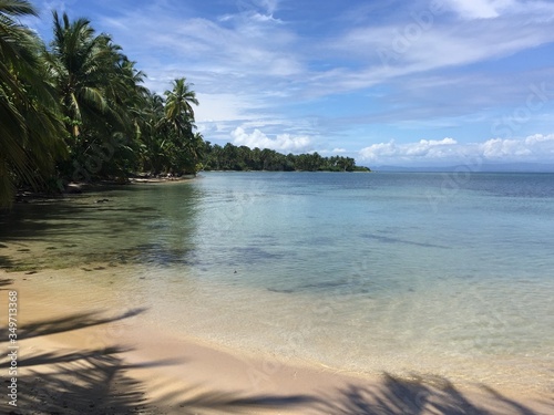 tropical beach with palm trees