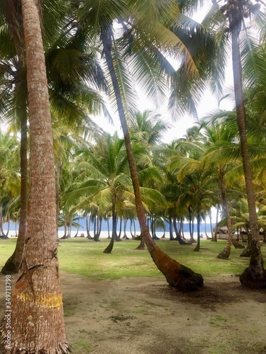 hammock on the beach