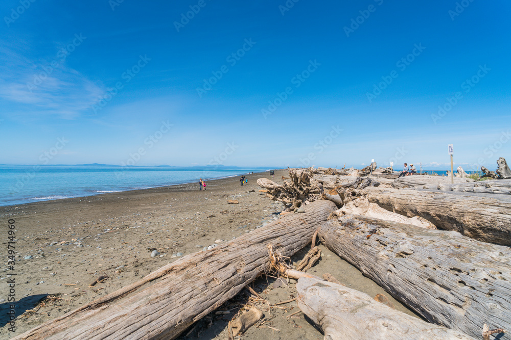 beach with mt Olympic  background in Dungeness national wildlife refuge,Washington,usa.
