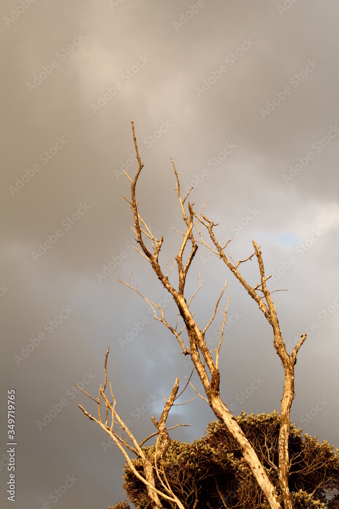 Obraz premium Atardecer en la playa