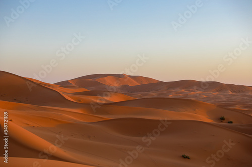 Desert in Morocco.