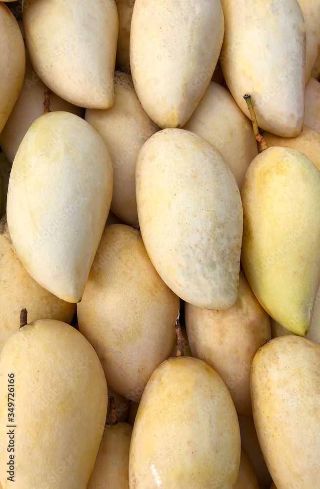 photo tropical mango fruit on the counter of the supermarket photo tropical mango fruit on the counter of the supermarket