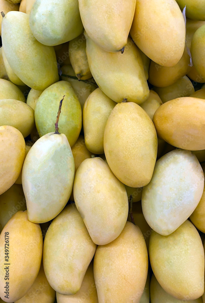 photo tropical mango fruit on the counter of the supermarket photo tropical mango fruit on the counter of the supermarket