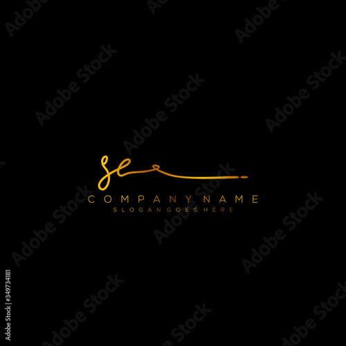 Letter SE Signature Logo Template Vector