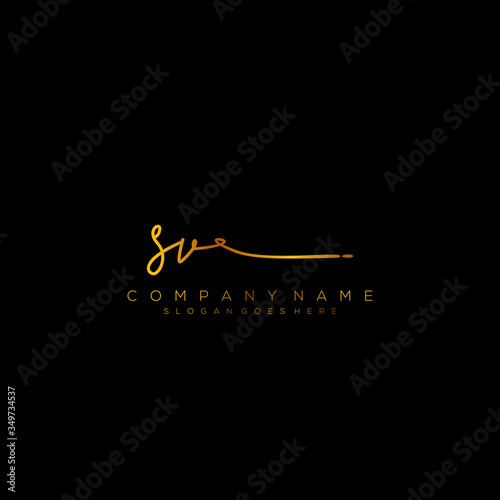 Letter SV Signature Logo Template Vector