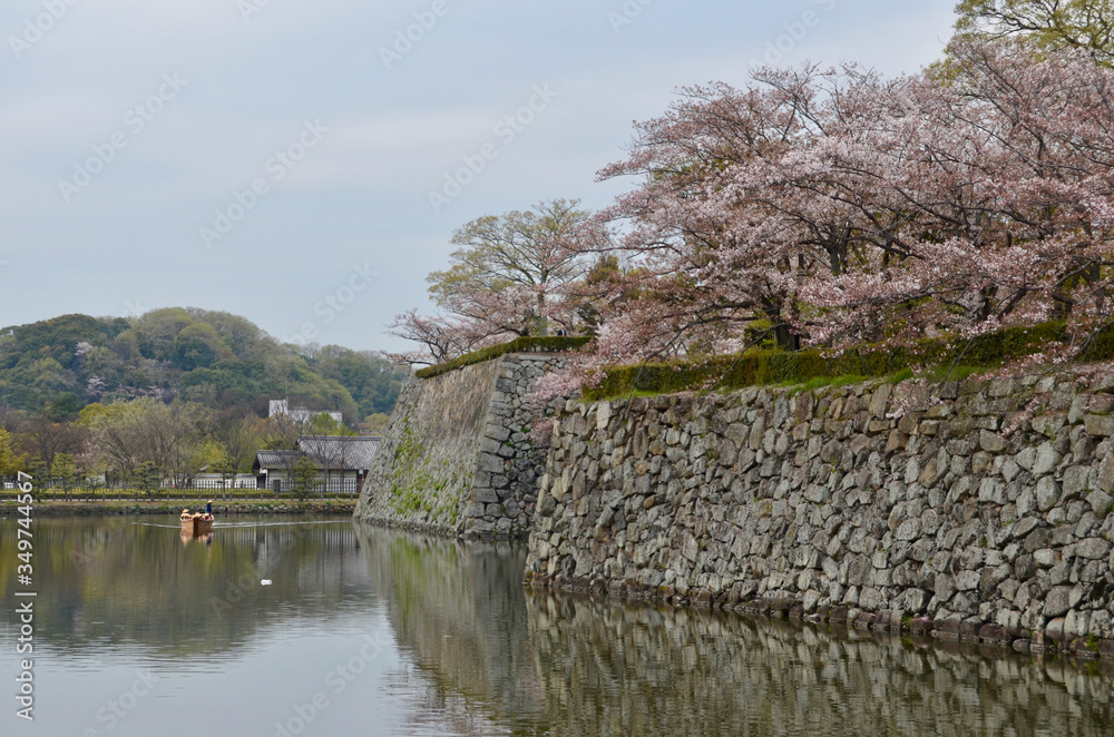 姫路城の堀と桜