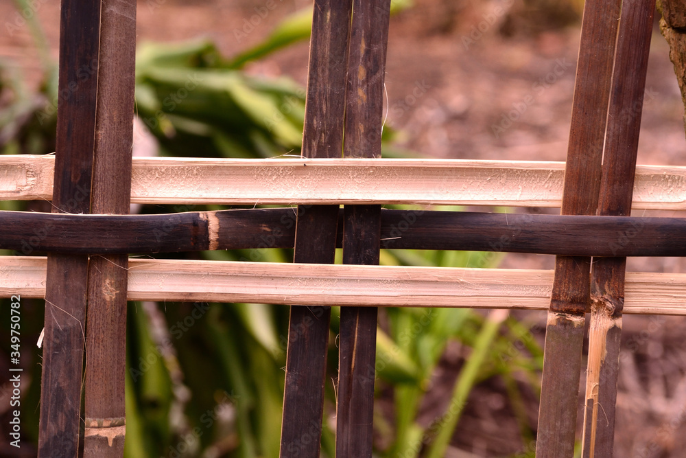 Bamboo fence