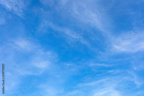 Wallpaper Mural Blue sky with white clouds texture and background. Torontodigital.ca