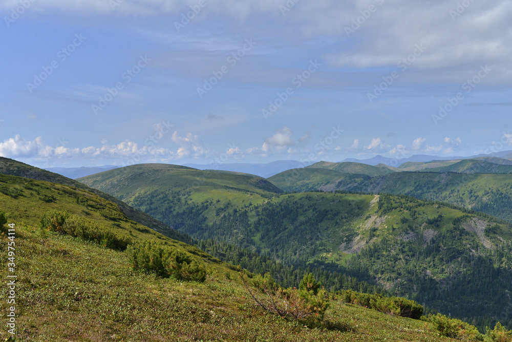 mountain landscape in the summer mountain landscape in the summer