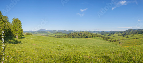 Green meadows and fields, blue sky. Hilly terrain, blue sky, spring view.