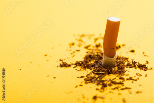 31 May of World No Tobacco Day, no smoking, close up of broken pile pin down cigarette or tobacco on yellow background with copy space, and Warning lung health concept