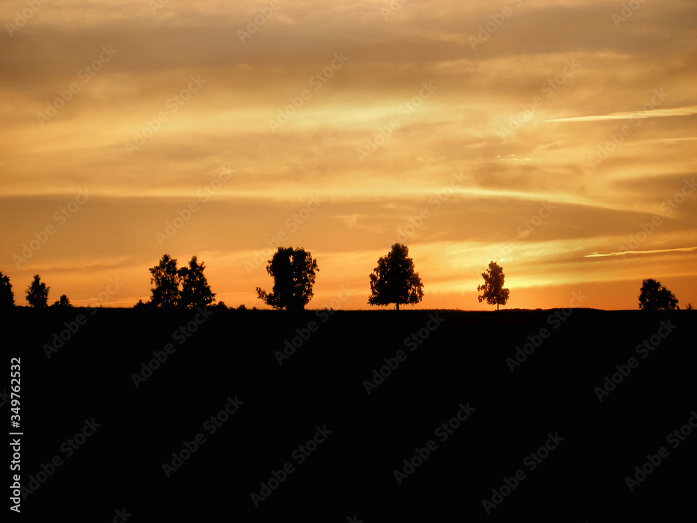 orange sunset sky black silhouettes of trees and horizon