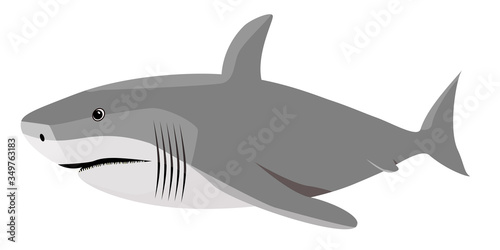 Vector illustration of a shark.