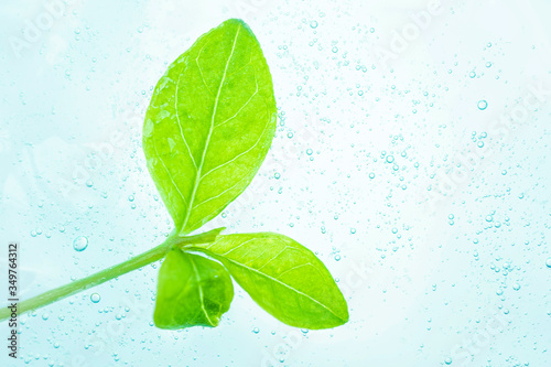 Close-up sample of cosmetic translucent gel. On top are fresh green leaves. The concept of organic natural cosmetics  face and body care. Copyspace  minimalism  macro.