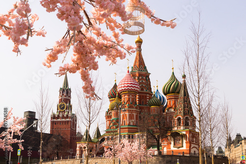 View of St. Basil's Cathedral and Spasskaya tower of Kremlin with blooming sakura in the foreground. Spring Moscow. 