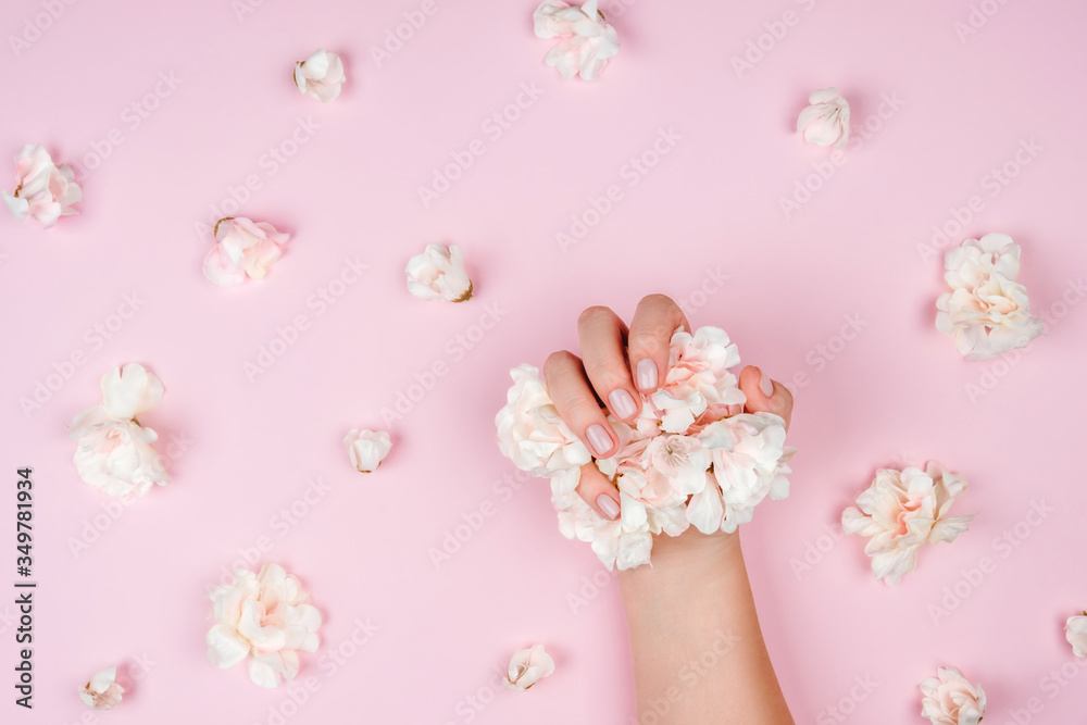 Beautiful gentle manicure. A woman's hand holds flowers on a pink background.