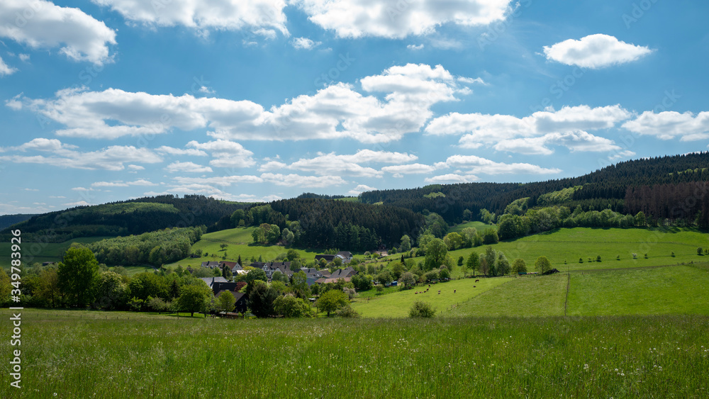 Fototapeta premium Idyllische kleine Ortschaft im Sauerland